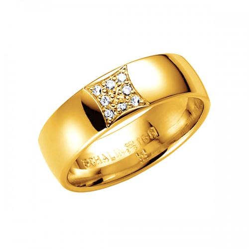 Schalins Stjärnfall Aries 0.08 ct
